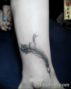 фото тату перо павлина от 26.06.2018 №017 - tattoo peacock feather - tatufoto.com