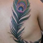 фото тату перо павлина от 26.06.2018 №025 - tattoo peacock feather - tatufoto.com