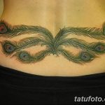 фото тату перо павлина от 26.06.2018 №030 - tattoo peacock feather - tatufoto.com