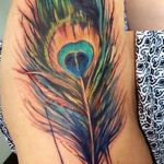 фото тату перо павлина от 26.06.2018 №032 - tattoo peacock feather - tatufoto.com