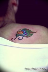 фото тату перо павлина от 26.06.2018 №044 - tattoo peacock feather - tatufoto.com
