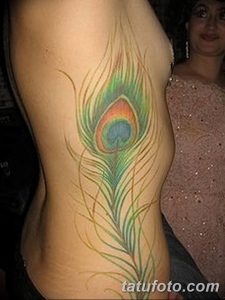 фото тату перо павлина от 26.06.2018 №045 - tattoo peacock feather - tatufoto.com