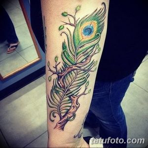 фото тату перо павлина от 26.06.2018 №046 - tattoo peacock feather - tatufoto.com