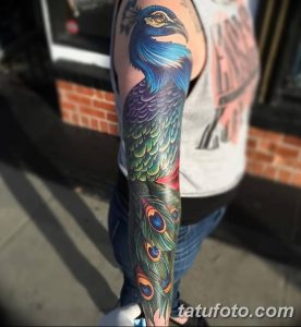 фото тату перо павлина от 26.06.2018 №047 - tattoo peacock feather - tatufoto.com