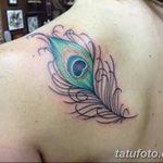 фото тату перо павлина от 26.06.2018 №050 - tattoo peacock feather - tatufoto.com