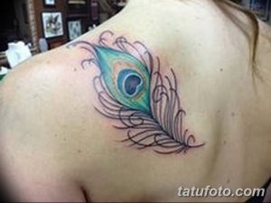 фото тату перо павлина от 26.06.2018 №050 - tattoo peacock feather - tatufoto.com