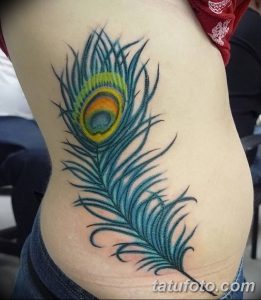 фото тату перо павлина от 26.06.2018 №052 - tattoo peacock feather - tatufoto.com