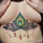 фото тату перо павлина от 26.06.2018 №053 - tattoo peacock feather - tatufoto.com