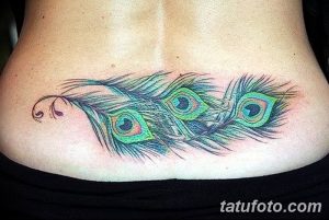 фото тату перо павлина от 26.06.2018 №056 - tattoo peacock feather - tatufoto.com
