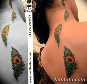 фото тату перо павлина от 26.06.2018 №059 - tattoo peacock feather - tatufoto.com