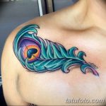 фото тату перо павлина от 26.06.2018 №060 - tattoo peacock feather - tatufoto.com