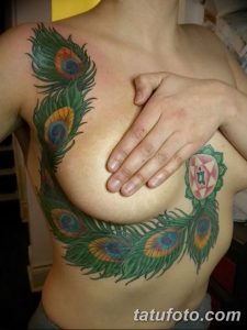 фото тату перо павлина от 26.06.2018 №062 - tattoo peacock feather - tatufoto.com