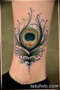 фото тату перо павлина от 26.06.2018 №064 - tattoo peacock feather - tatufoto.com