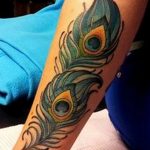 фото тату перо павлина от 26.06.2018 №066 - tattoo peacock feather - tatufoto.com