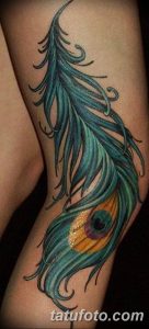 фото тату перо павлина от 26.06.2018 №067 - tattoo peacock feather - tatufoto.com