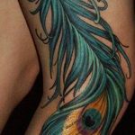 фото тату перо павлина от 26.06.2018 №067 - tattoo peacock feather - tatufoto.com