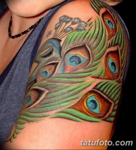 фото тату перо павлина от 26.06.2018 №068 - tattoo peacock feather - tatufoto.com