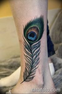 фото тату перо павлина от 26.06.2018 №069 - tattoo peacock feather - tatufoto.com