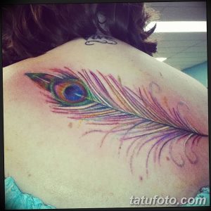 фото тату перо павлина от 26.06.2018 №072 - tattoo peacock feather - tatufoto.com