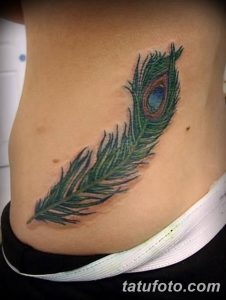 фото тату перо павлина от 26.06.2018 №073 - tattoo peacock feather - tatufoto.com