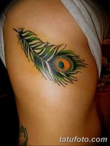 фото тату перо павлина от 26.06.2018 №075 - tattoo peacock feather - tatufoto.com