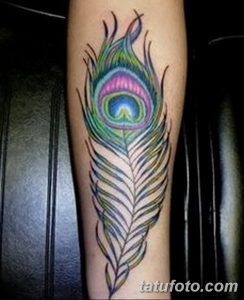 фото тату перо павлина от 26.06.2018 №077 - tattoo peacock feather - tatufoto.com