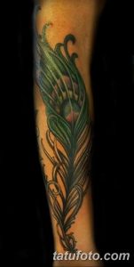 фото тату перо павлина от 26.06.2018 №078 - tattoo peacock feather - tatufoto.com