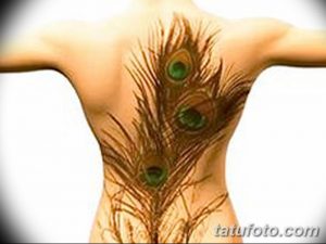 фото тату перо павлина от 26.06.2018 №079 - tattoo peacock feather - tatufoto.com