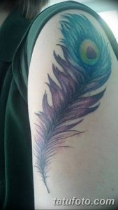 фото тату перо павлина от 26.06.2018 №084 - tattoo peacock feather - tatufoto.com
