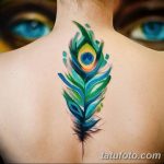 фото тату перо павлина от 26.06.2018 №085 - tattoo peacock feather - tatufoto.com