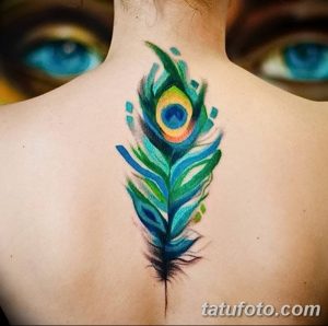 фото тату перо павлина от 26.06.2018 №085 - tattoo peacock feather - tatufoto.com