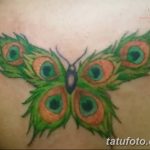 фото тату перо павлина от 26.06.2018 №086 - tattoo peacock feather - tatufoto.com