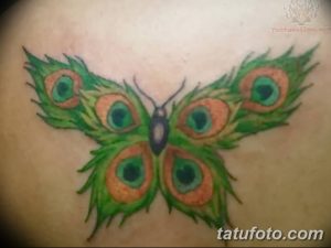 фото тату перо павлина от 26.06.2018 №086 - tattoo peacock feather - tatufoto.com