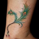 фото тату перо павлина от 26.06.2018 №088 - tattoo peacock feather - tatufoto.com