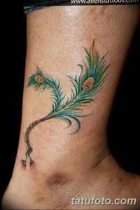 фото тату перо павлина от 26.06.2018 №088 - tattoo peacock feather - tatufoto.com