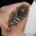 фото тату перо павлина от 26.06.2018 №089 - tattoo peacock feather - tatufoto.com
