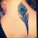 фото тату перо павлина от 26.06.2018 №091 - tattoo peacock feather - tatufoto.com