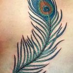 фото тату перо павлина от 26.06.2018 №092 - tattoo peacock feather - tatufoto.com