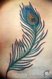 фото тату перо павлина от 26.06.2018 №092 - tattoo peacock feather - tatufoto.com