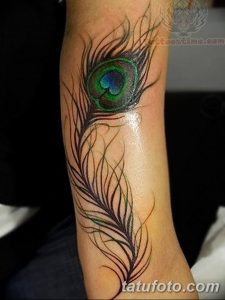 фото тату перо павлина от 26.06.2018 №094 - tattoo peacock feather - tatufoto.com