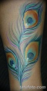 фото тату перо павлина от 26.06.2018 №095 - tattoo peacock feather - tatufoto.com