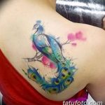 фото тату перо павлина от 26.06.2018 №096 - tattoo peacock feather - tatufoto.com