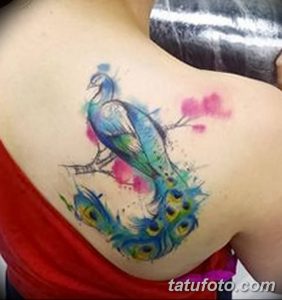 фото тату перо павлина от 26.06.2018 №096 - tattoo peacock feather - tatufoto.com