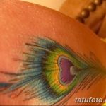 фото тату перо павлина от 26.06.2018 №098 - tattoo peacock feather - tatufoto.com