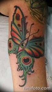 фото тату перо павлина от 26.06.2018 №099 - tattoo peacock feather - tatufoto.com