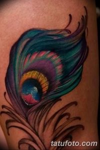 фото тату перо павлина от 26.06.2018 №101 - tattoo peacock feather - tatufoto.com