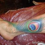 фото тату перо павлина от 26.06.2018 №104 - tattoo peacock feather - tatufoto.com
