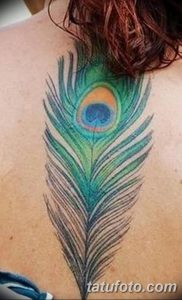 фото тату перо павлина от 26.06.2018 №105 - tattoo peacock feather - tatufoto.com