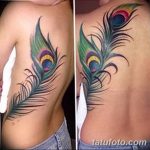 фото тату перо павлина от 26.06.2018 №107 - tattoo peacock feather - tatufoto.com