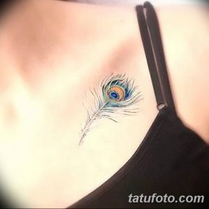 фото тату перо павлина от 26.06.2018 №109 - tattoo peacock feather - tatufoto.com